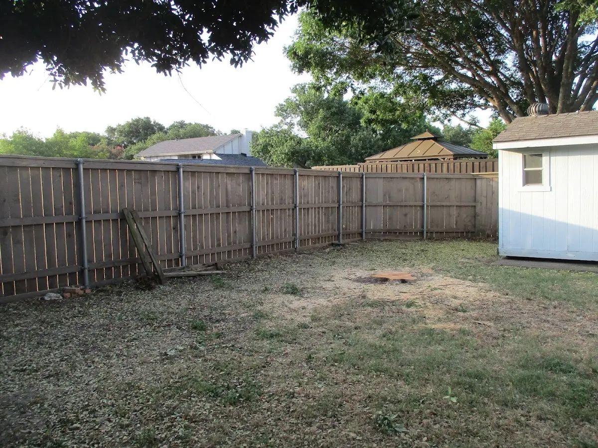 Cleared yard after professional tree removal in Kelliher
